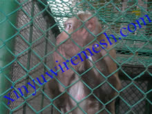 動(dòng)物園防護(hù)網(wǎng)